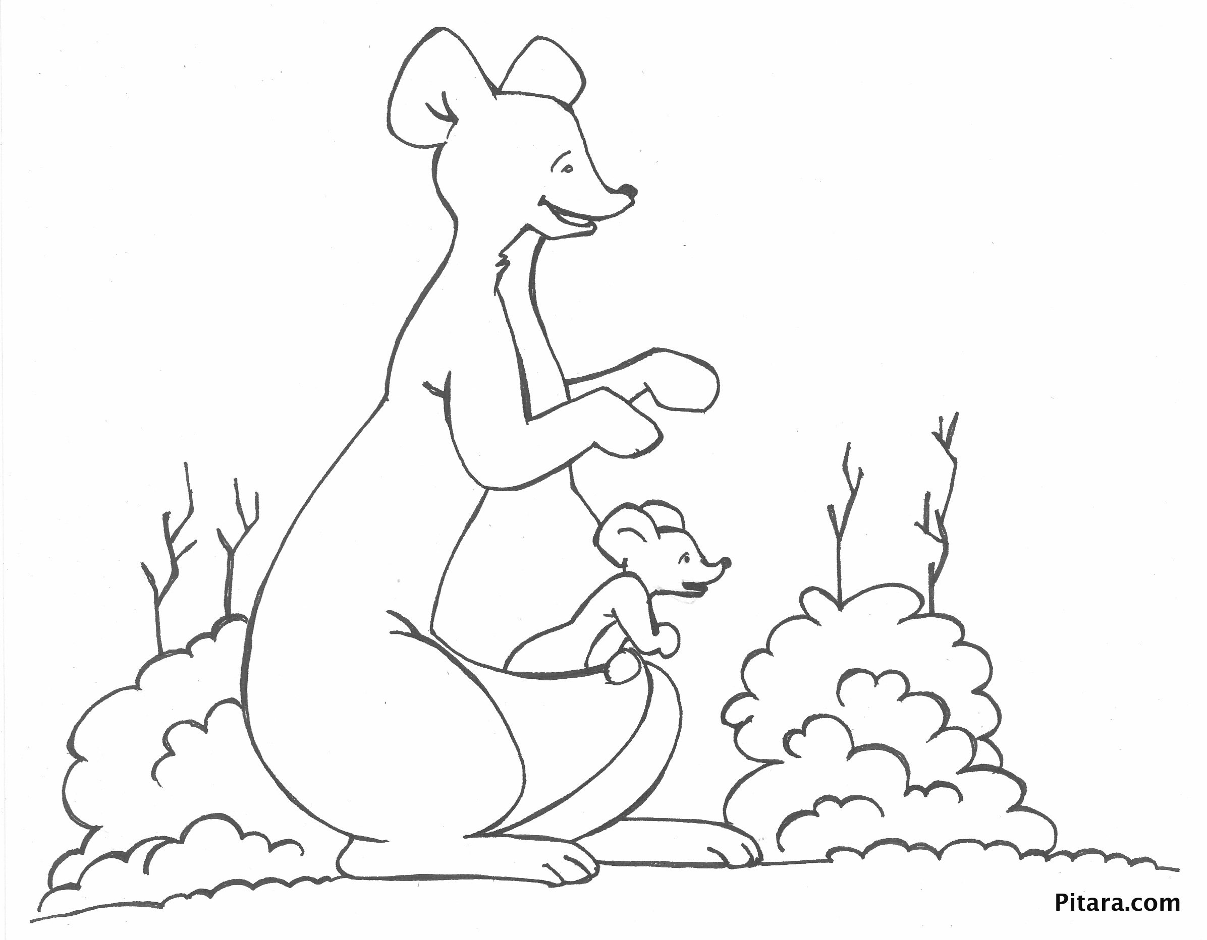 Coloring page: Kangaroo (Animals) #9283 - Free Printable Coloring Pages