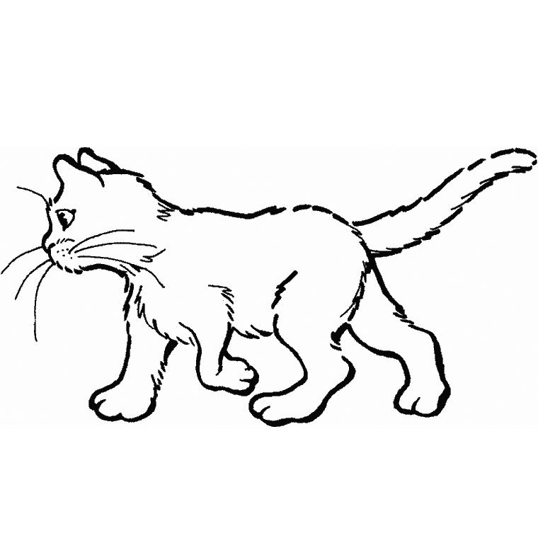 Coloring page: Kitten (Animals) #18025 - Free Printable Coloring Pages