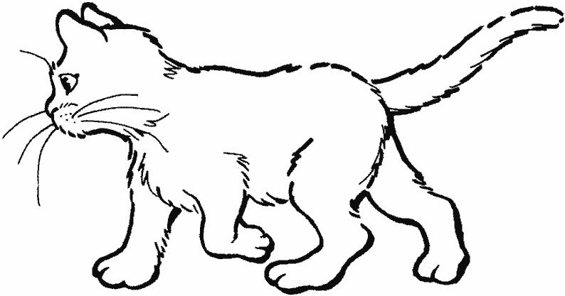 Coloring page: Kitten (Animals) #18029 - Free Printable Coloring Pages