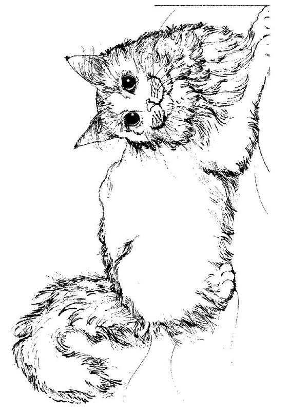 Coloring page: Kitten (Animals) #18047 - Free Printable Coloring Pages