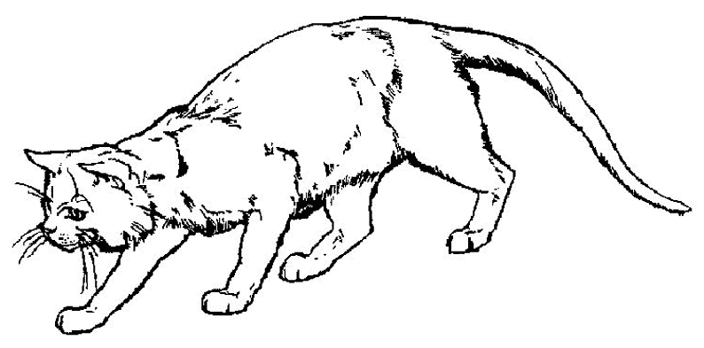 Coloring page: Kitten (Animals) #18059 - Free Printable Coloring Pages