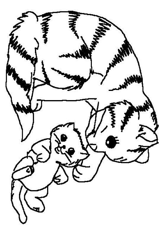 Coloring page: Kitten (Animals) #18065 - Free Printable Coloring Pages
