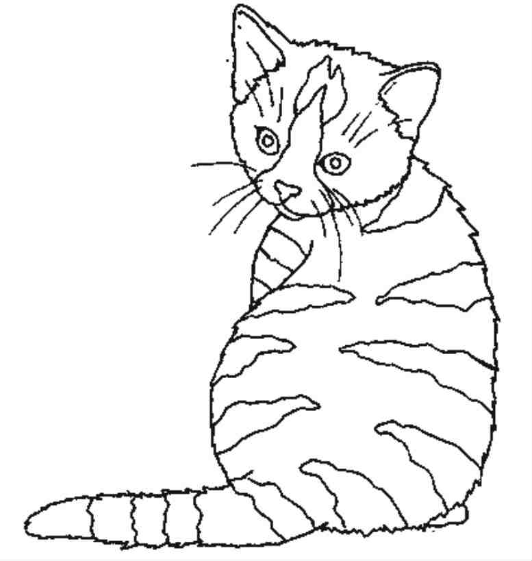 Coloring page: Kitten (Animals) #18068 - Free Printable Coloring Pages