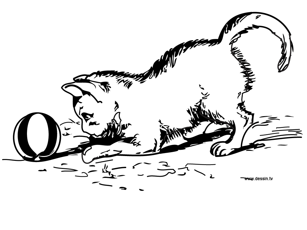 Coloring page: Kitten (Animals) #18072 - Free Printable Coloring Pages