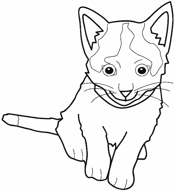 Coloring page: Kitten (Animals) #18081 - Free Printable Coloring Pages