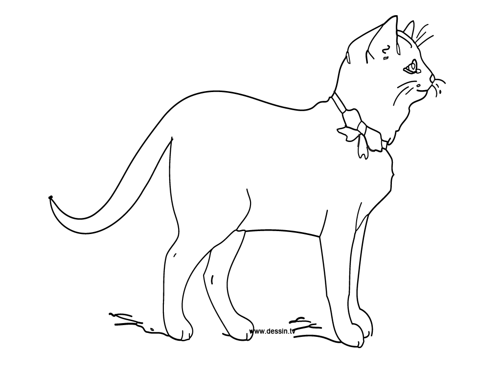 Coloring page: Kitten (Animals) #18084 - Free Printable Coloring Pages