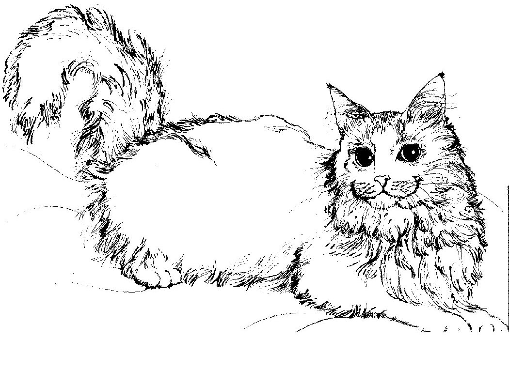 Coloring page: Kitten (Animals) #18097 - Free Printable Coloring Pages