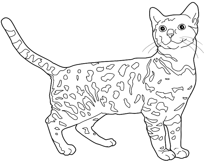 Coloring page: Kitten (Animals) #18101 - Free Printable Coloring Pages