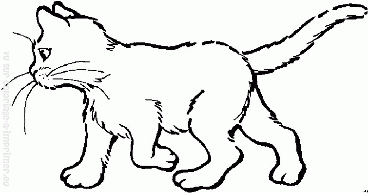 Coloring page: Kitten (Animals) #18112 - Free Printable Coloring Pages