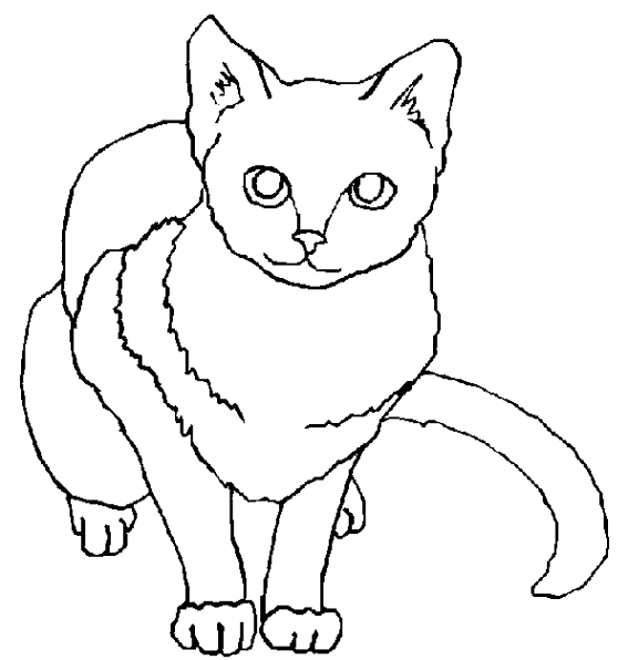 Drawing Kitten #18143 (Animals) – Printable coloring pages