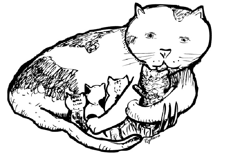 Coloring page: Kitten (Animals) #18145 - Free Printable Coloring Pages