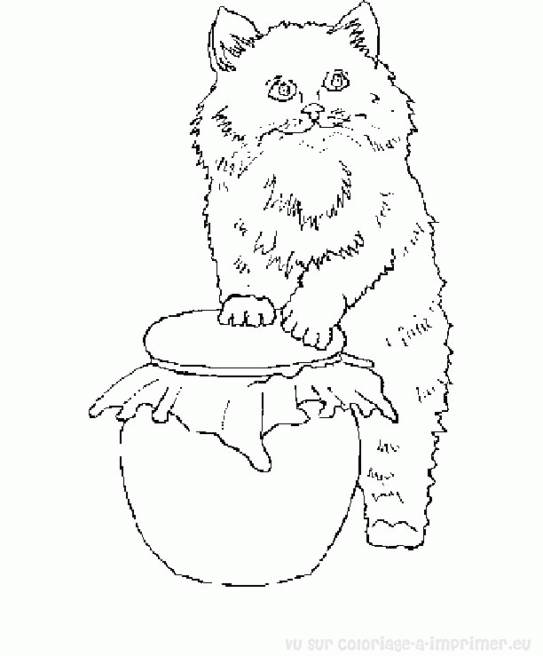 Coloring page: Kitten (Animals) #18172 - Free Printable Coloring Pages