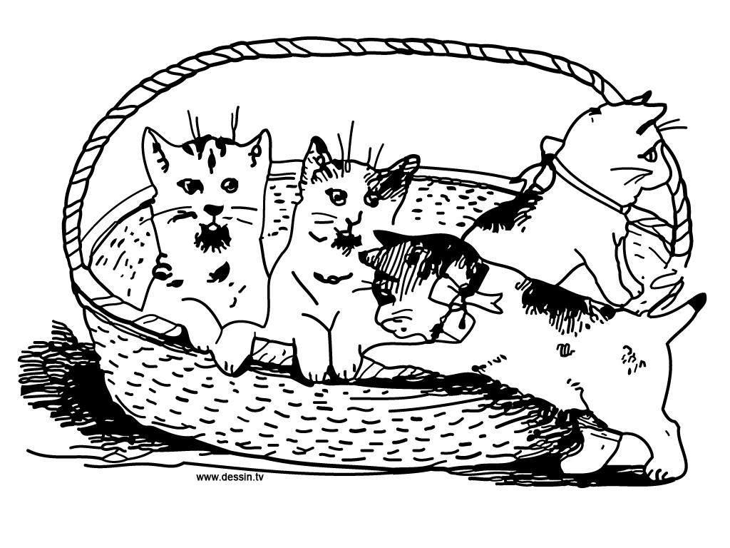 Coloring page: Kitten (Animals) #18188 - Free Printable Coloring Pages