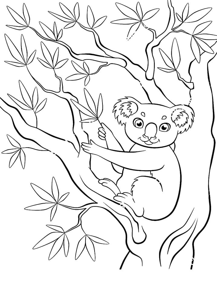 Free printable Koala coloring page #178768 from Animals collection