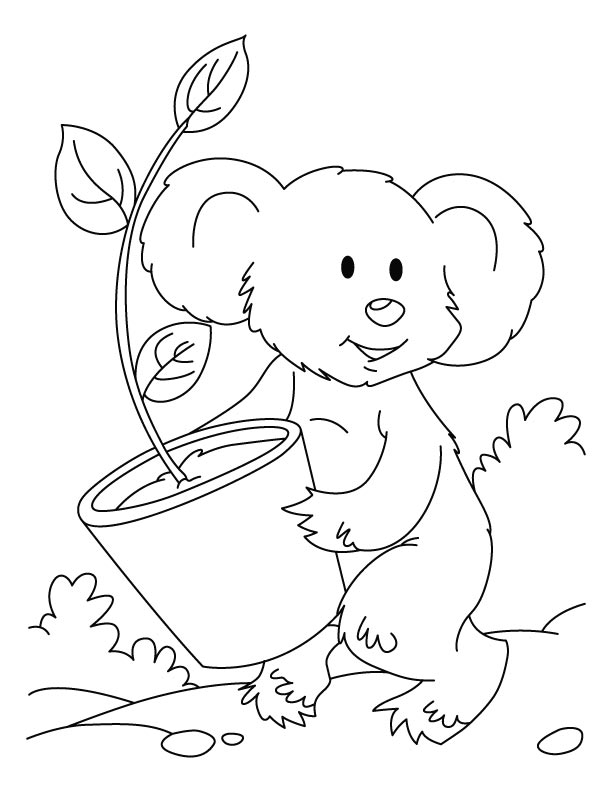 Coloring page: Koala (Animals) #9306 - Free Printable Coloring Pages