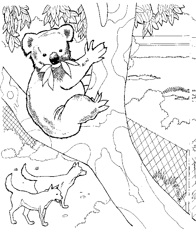 Coloring page: Koala (Animals) #9307 - Free Printable Coloring Pages