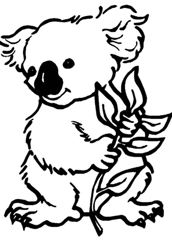 Coloring page: Koala (Animals) #9309 - Free Printable Coloring Pages