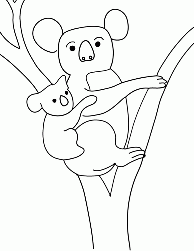 Coloring page: Koala (Animals) #9326 - Free Printable Coloring Pages