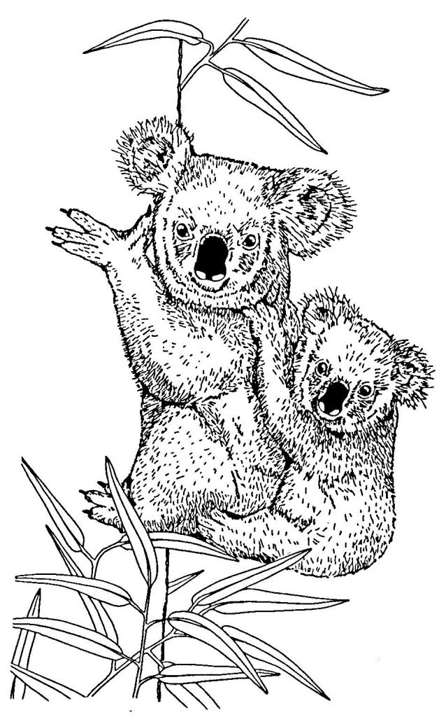 Coloring page: Koala (Animals) #9327 - Free Printable Coloring Pages