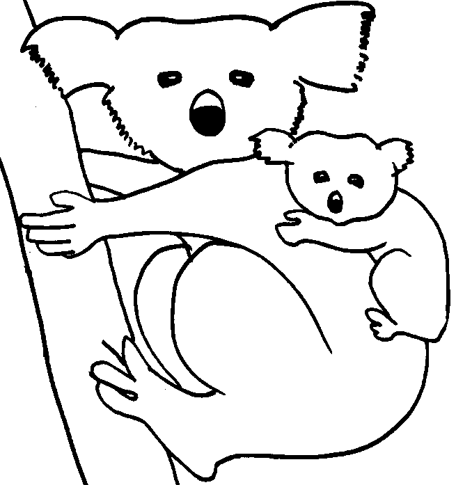 Coloring page: Koala (Animals) #9334 - Free Printable Coloring Pages