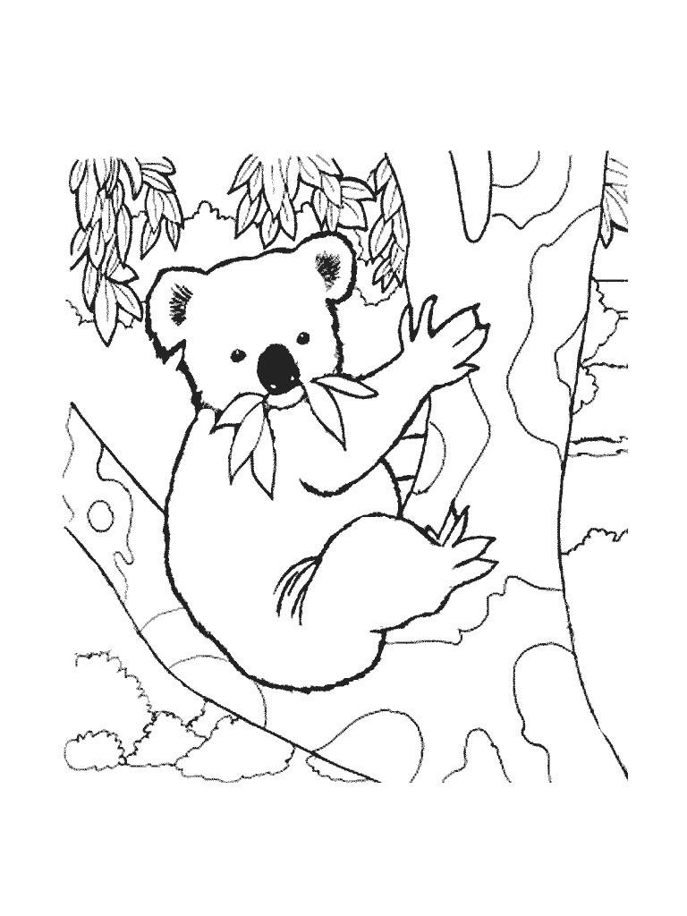 Coloring page: Koala (Animals) #9337 - Free Printable Coloring Pages