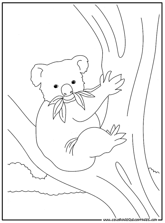 Coloring page: Koala (Animals) #9342 - Free Printable Coloring Pages