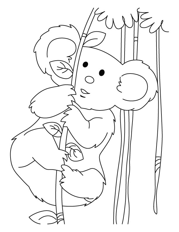 Coloring page: Koala (Animals) #9345 - Free Printable Coloring Pages