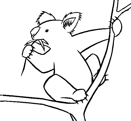 Coloring page: Koala (Animals) #9356 - Free Printable Coloring Pages