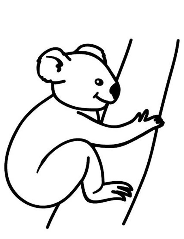 Coloring page: Koala (Animals) #9401 - Free Printable Coloring Pages