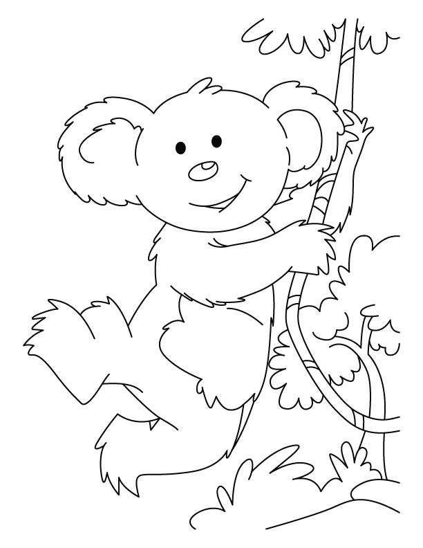 Coloring page: Koala (Animals) #9409 - Free Printable Coloring Pages