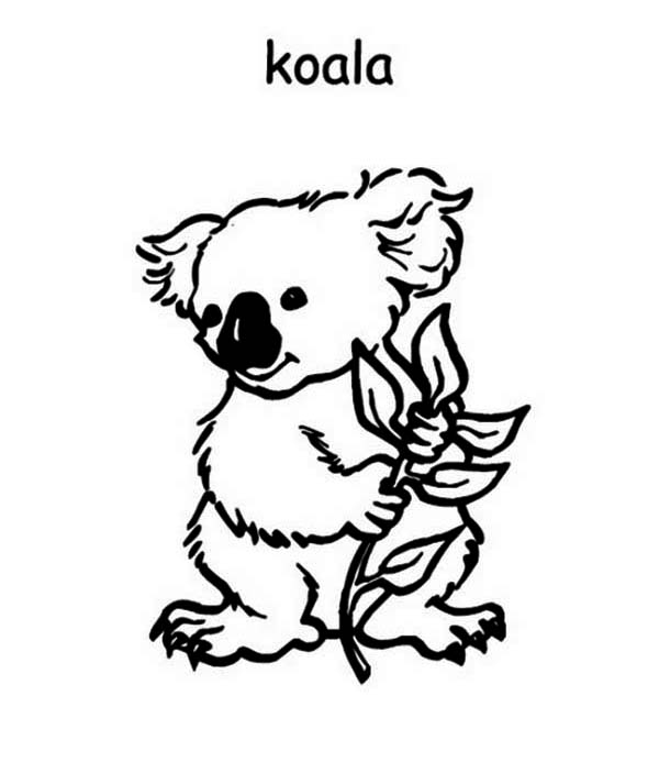 Download Koala 9420 Animals Printable Coloring Pages