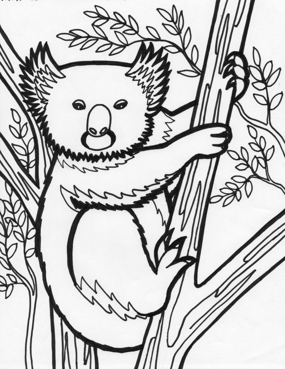 Coloring page: Koala (Animals) #9426 - Free Printable Coloring Pages