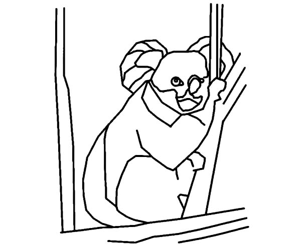 Coloring page: Koala (Animals) #9457 - Free Printable Coloring Pages
