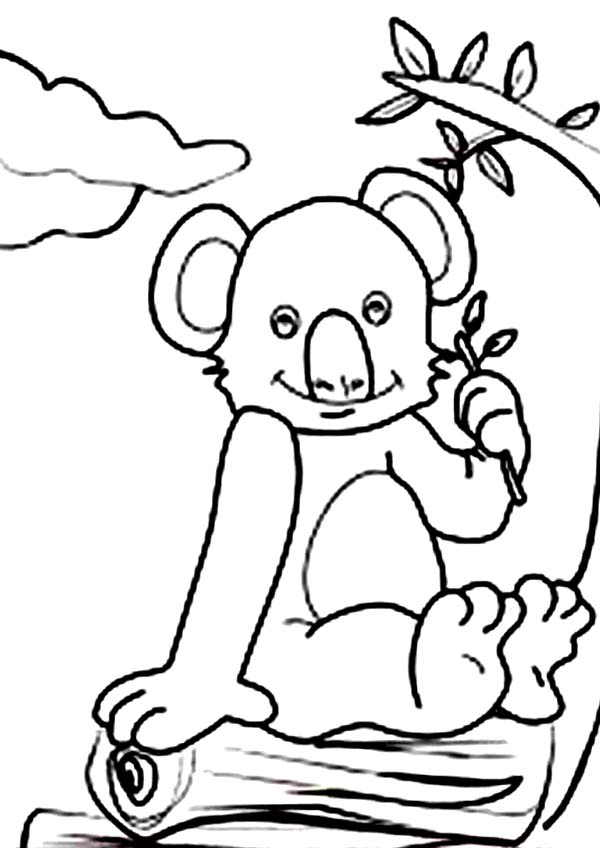 Coloring page: Koala (Animals) #9461 - Free Printable Coloring Pages