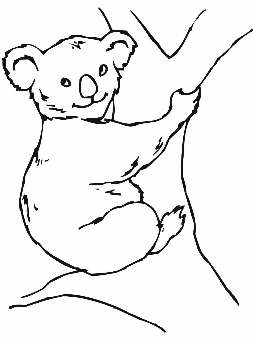 Coloring page: Koala (Animals) #9462 - Free Printable Coloring Pages