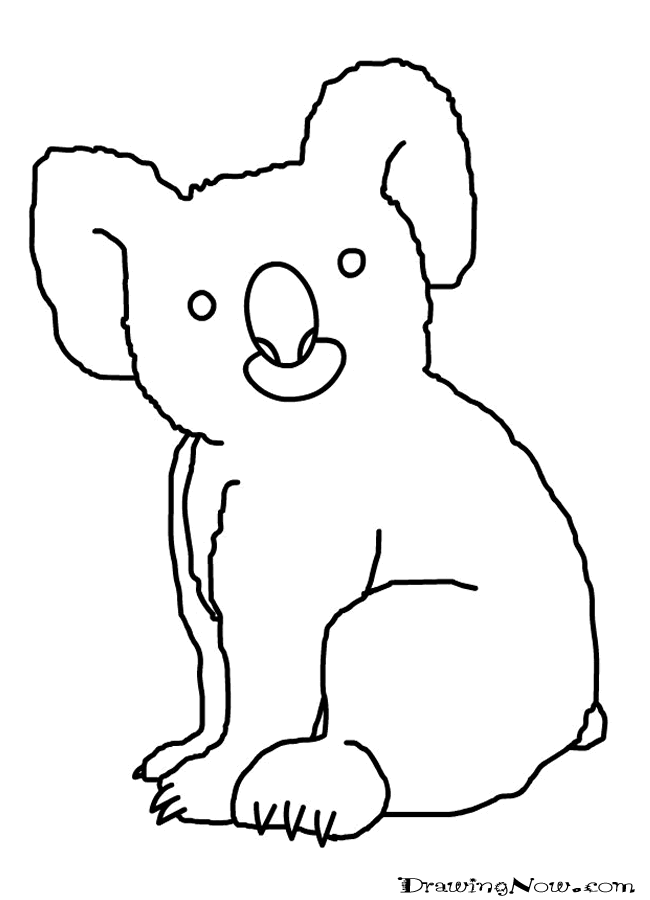 Coloring page: Koala (Animals) #9468 - Free Printable Coloring Pages