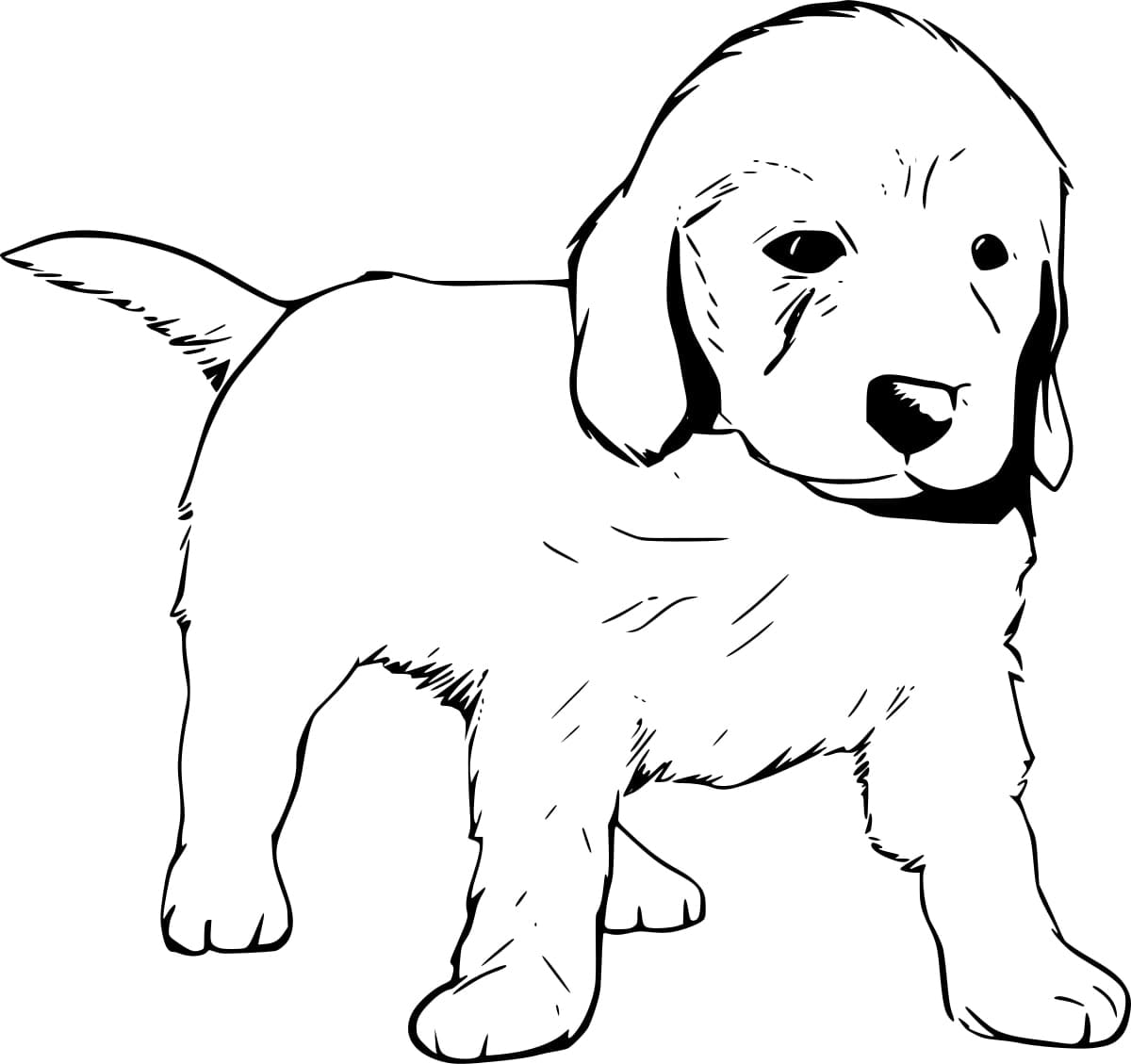 Free printable Labrador coloring page #220735 from Animals collection