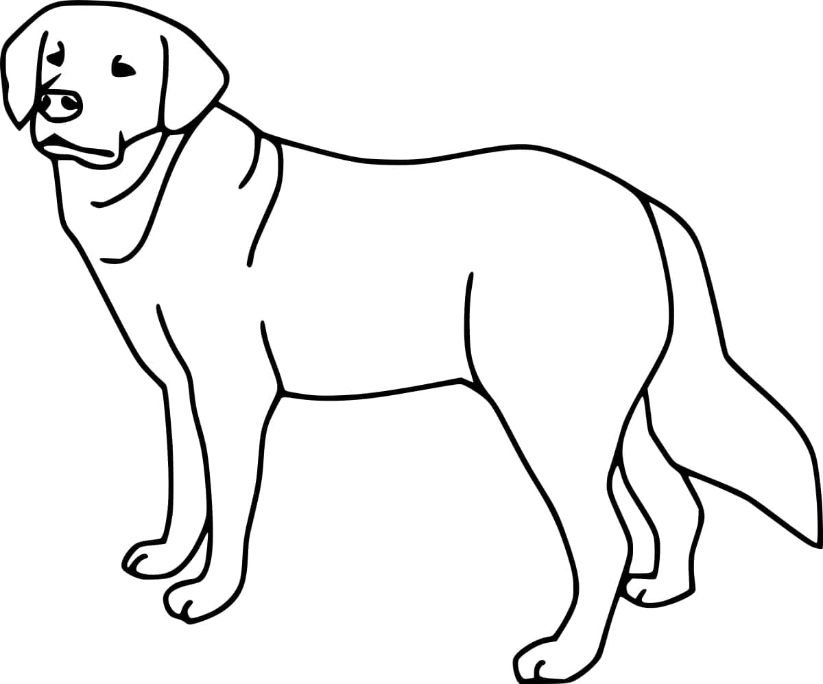 Free printable Labrador coloring page #220740 from Animals collection