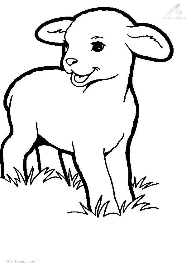 Coloring page: Lamb (Animals) #178 - Free Printable Coloring Pages