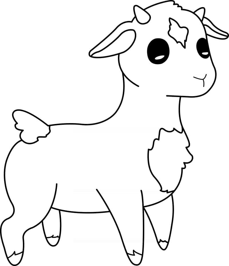 Free printable Lamb coloring page #184259 from Animals collection