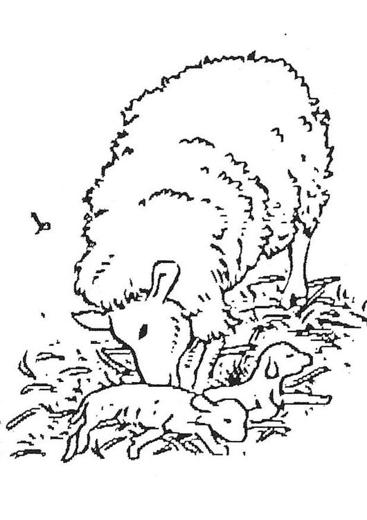 Coloring page: Lamb (Animals) #192 - Free Printable Coloring Pages