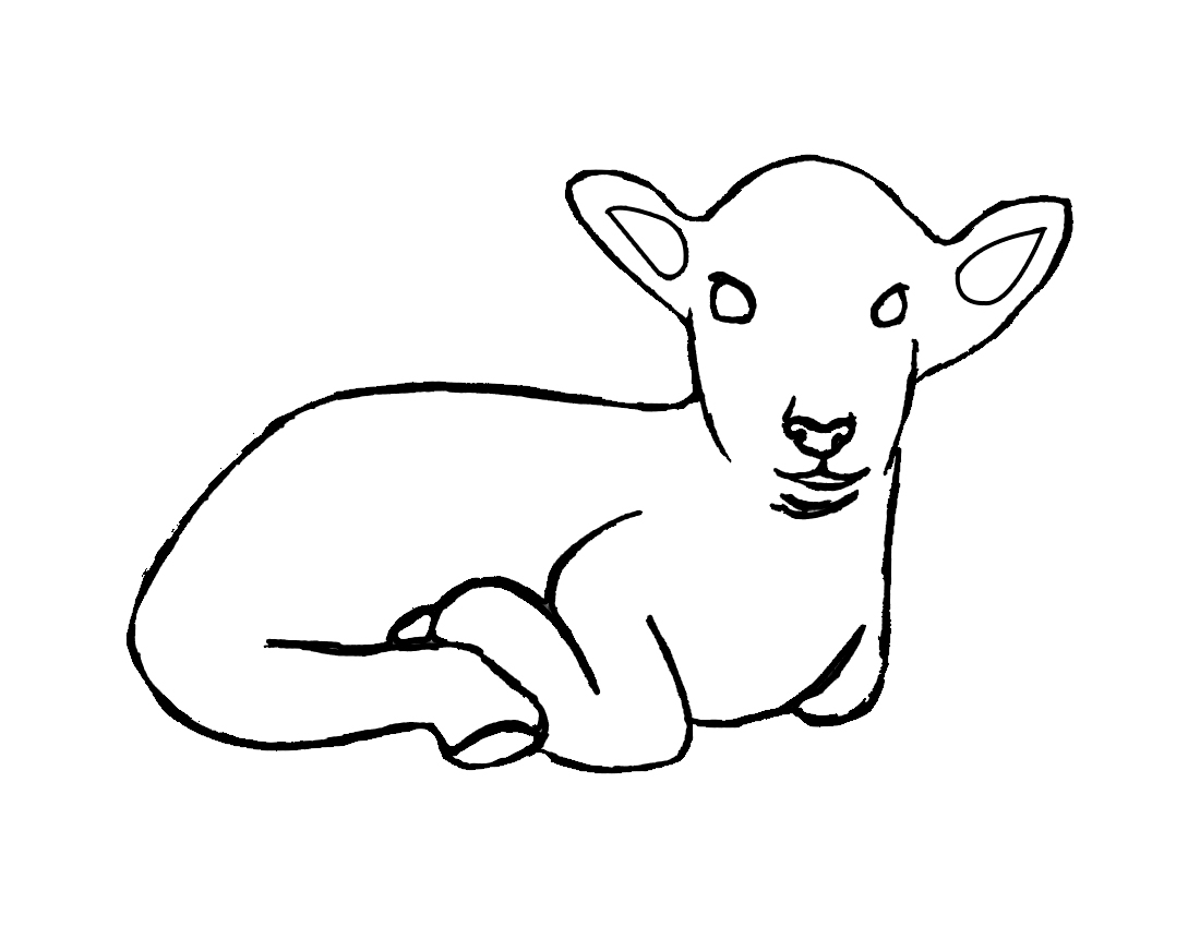 Coloring page: Lamb (Animals) #204 - Free Printable Coloring Pages