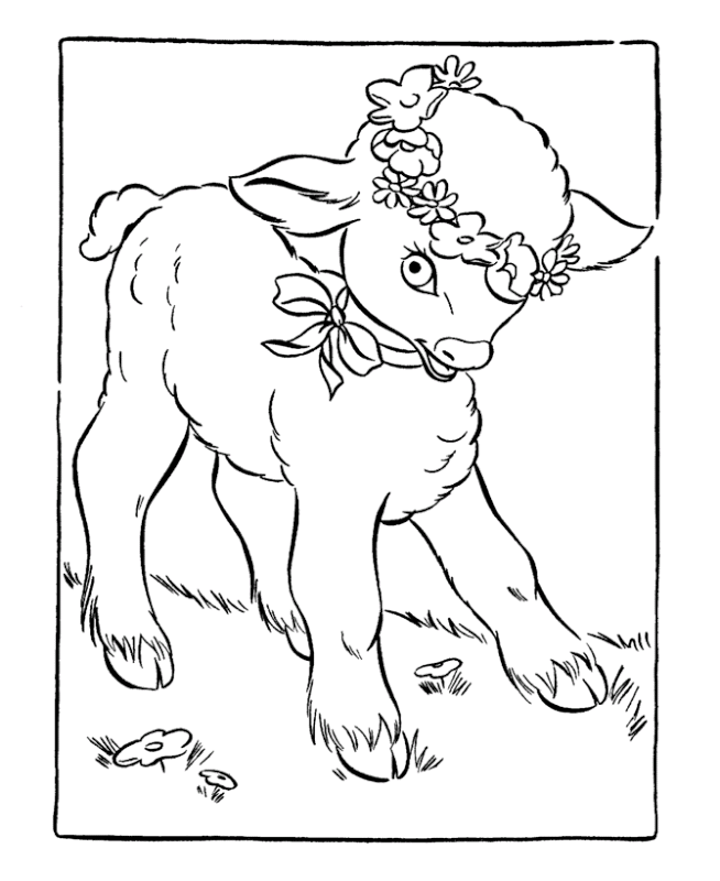 Coloring page: Lamb (Animals) #206 - Free Printable Coloring Pages