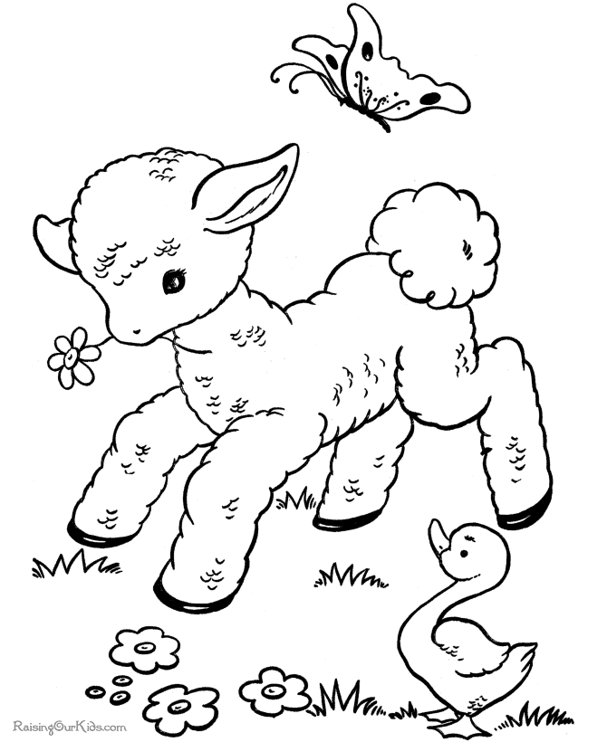 Coloring page: Lamb (Animals) #214 - Free Printable Coloring Pages