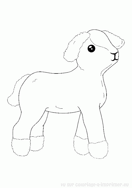 Coloring page: Lamb (Animals) #215 - Free Printable Coloring Pages