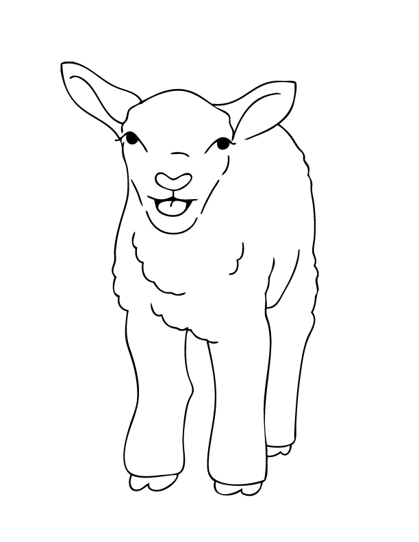 Coloring page: Lamb (Animals) #216 - Free Printable Coloring Pages