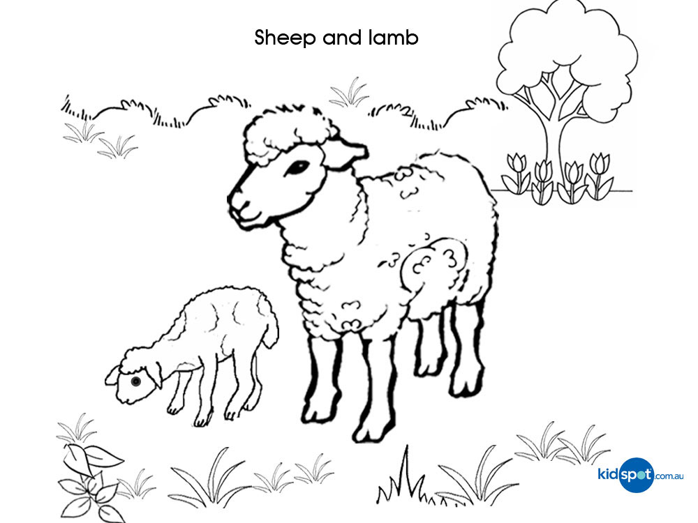 Coloring page: Lamb (Animals) #225 - Free Printable Coloring Pages