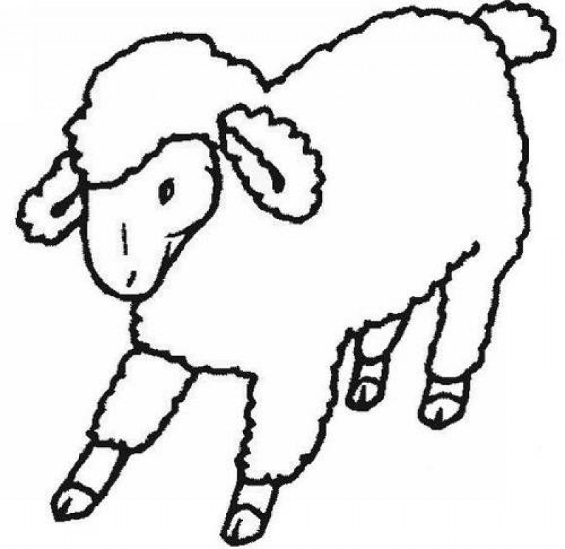 Coloring page: Lamb (Animals) #233 - Free Printable Coloring Pages