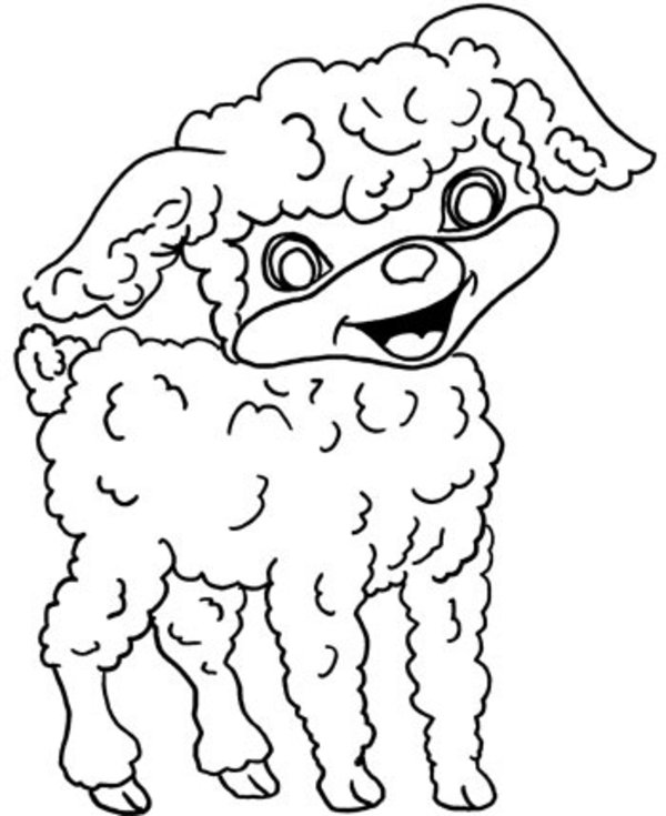 Coloring page: Lamb (Animals) #240 - Free Printable Coloring Pages