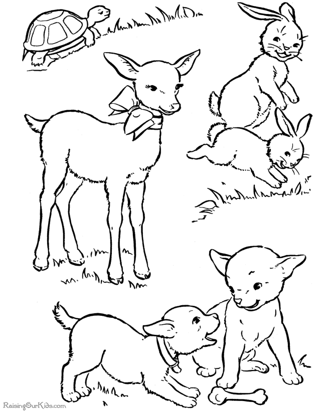 Coloring page: Lamb (Animals) #262 - Free Printable Coloring Pages